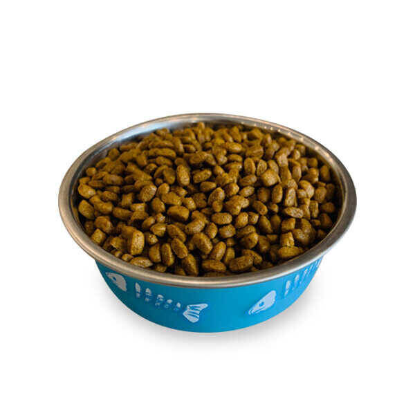 Obivan Low Grain Kuzu Etli Yavru Kedi Maması 1 kg x 3 adet Yavru Kedi