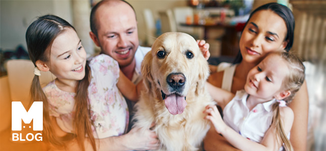 Dünya Köpek Günü