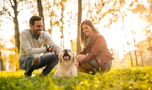 KÖPEK SEÇİMİ VE BAKIMI