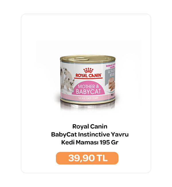 04-04-2024-royal-canin-babycat.jpg (61 KB)