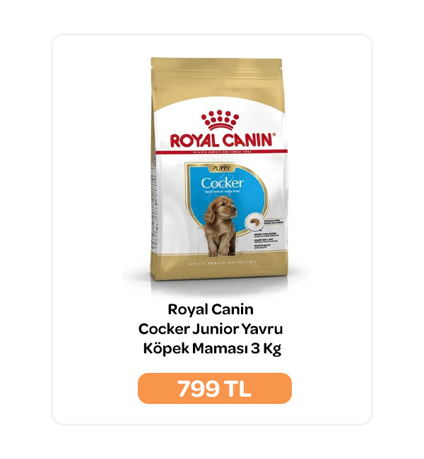 02.10.2024 - Royal Canin Cocker Junior Yavru Köpek Maması 3 Kg.jpg (67 KB)