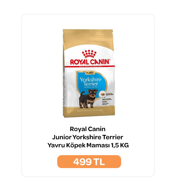 02.10.2024 - Royal Canin Junior Yorkshire Terrier Yavru Köpek Maması 1,5 KG.jpg (66 KB)