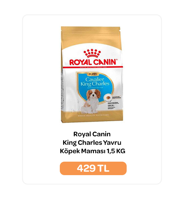 02.10.2024 - Royal Canin King Charles Yavru Köpek Maması 1,5 KG.jpg (70 KB)