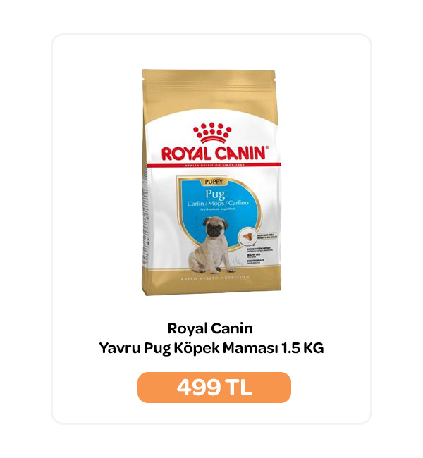 02.10.2024 - Royal Canin Yavru Pug Köpek Maması 1.5 KG.jpg (65 KB)