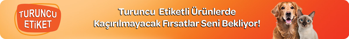 turuncu-etiket-header-turuncu.jpg (72 KB)