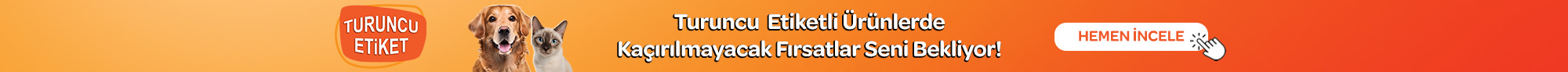 turuncu-etiket-headerust-2.jpg (68 KB)