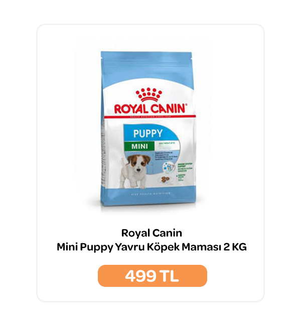 13-11-2024-royal-canin-kopek.jpg (64 KB)