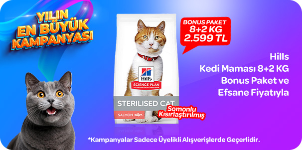 yilin en büyük kampanyasi hills kedi1.jpg (89 KB)