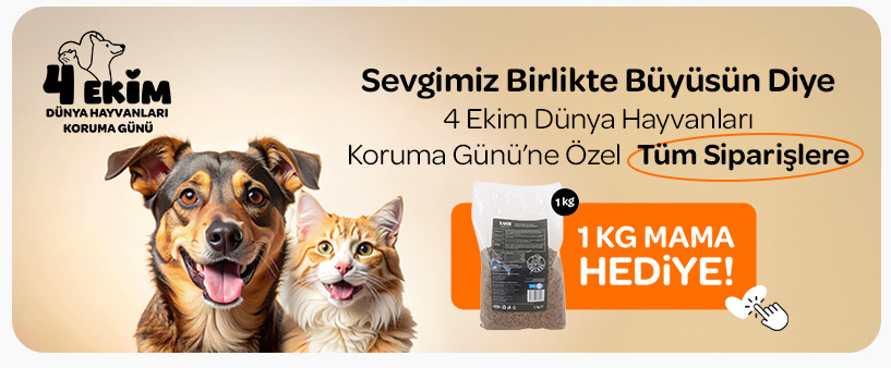 4-ekime-ozel-simge.png