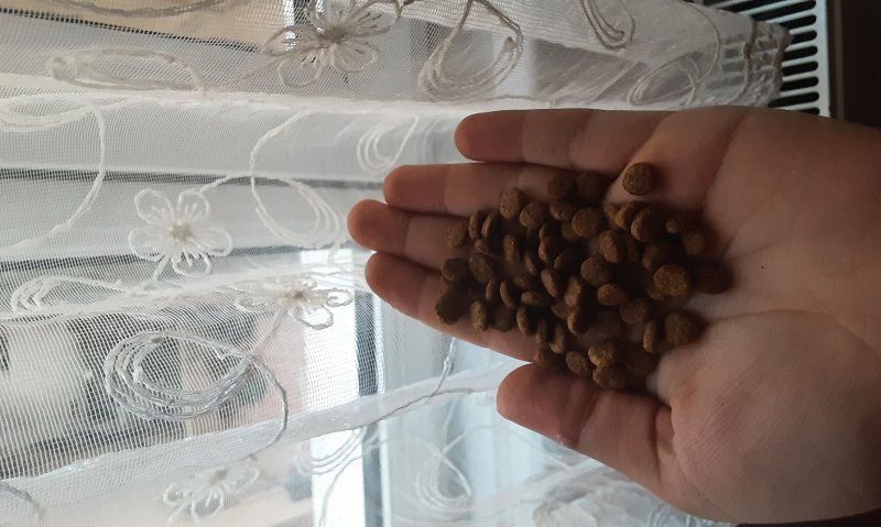 Sitenizin adı Hakkıyla Mama olmalıydı