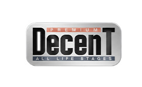 Decent - logo