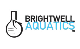 Brightwell - logo