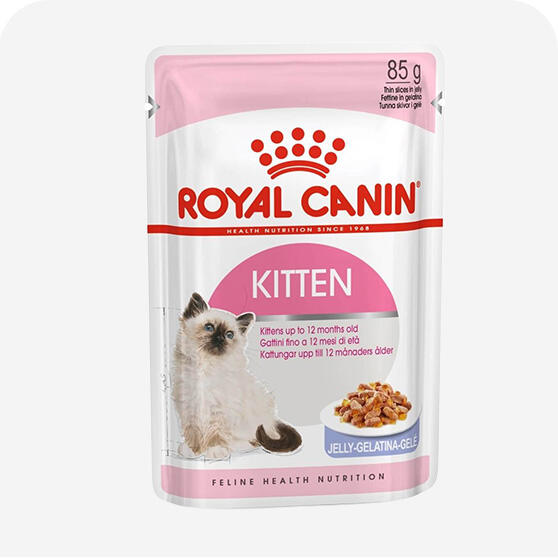 Yavru Kedi Konservesi