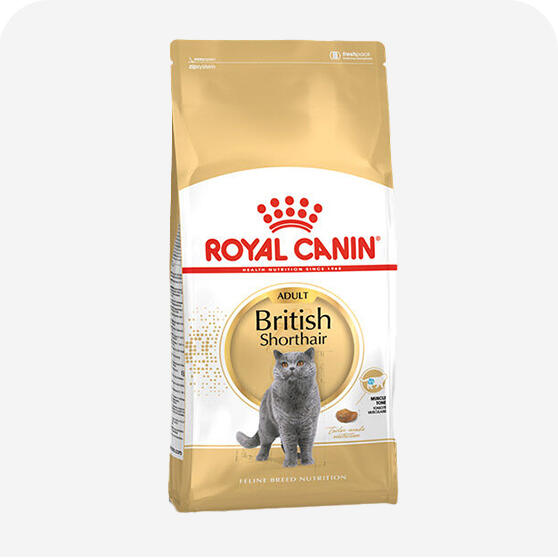 Özel Irk Kedi Maması