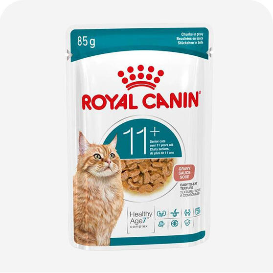 Yaşlı Kedi Konservesi