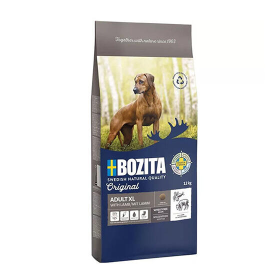 Köpek