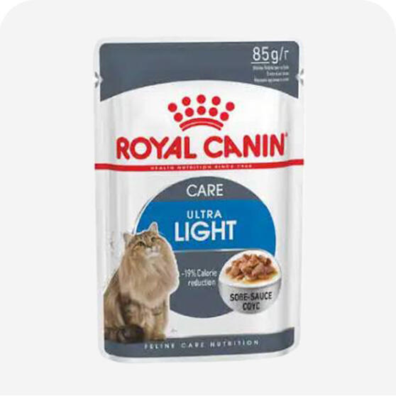 Light Kedi Konservesi
