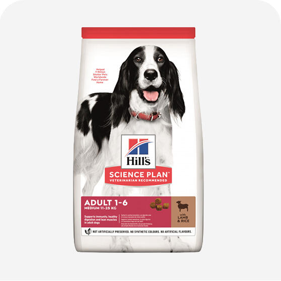 Orta Irk Köpek Maması
