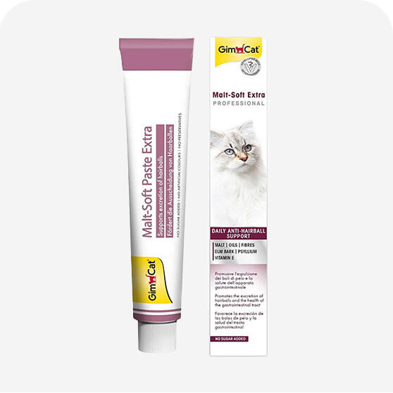 Kedi Maltı