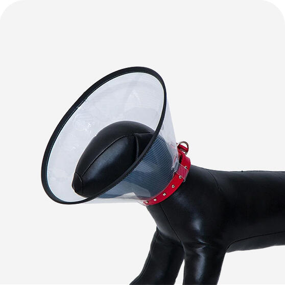 Köpek Boyunlukları