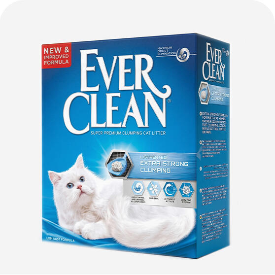 Kristal Kedi Kumları