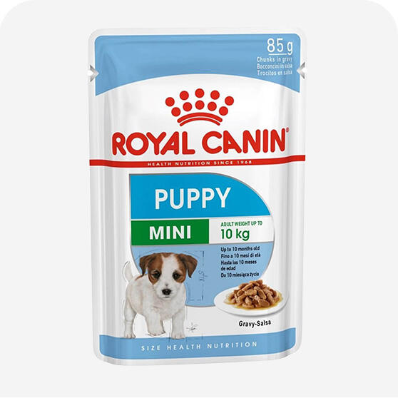 Yavru Köpek Konservesi