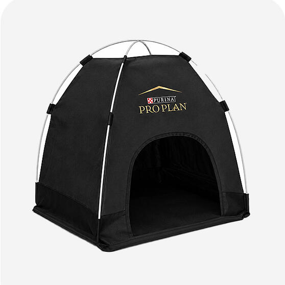 Kedi Oyun Alanları