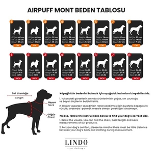 Air Puff Deep Köpek Montu Beden :1 - 4