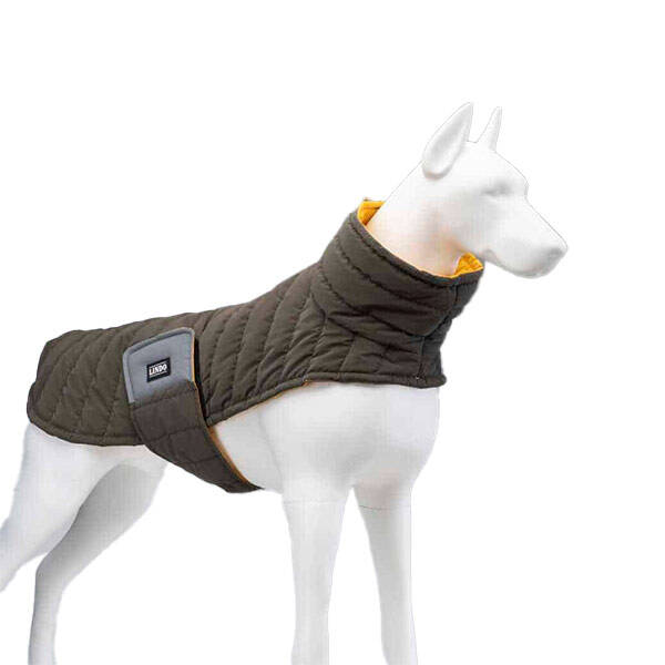 Air Puff Mango Köpek Montu Beden 4 - 1