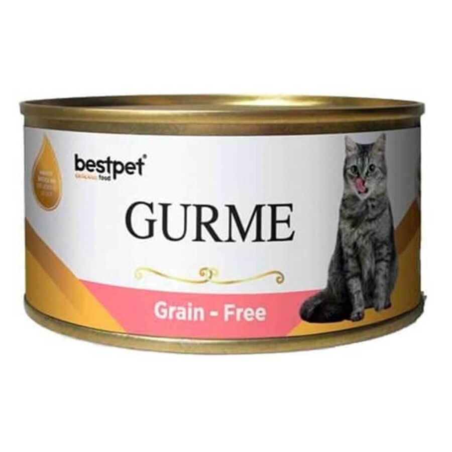 BestPet Gurme Tahılsız Jelly Sterilised Somonlu Kedi Konservesi 100 Gr