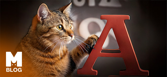 En Popüler Kedi İsimleri