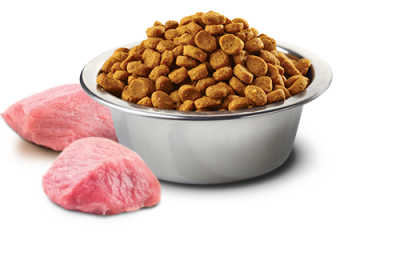 ND Tahılsız Bal Kabaklı Tavuklu Köpek Maması 12 KG - 2