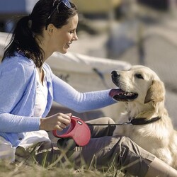 Flexi New Classic İp Otomatik Köpek Tasması 5M - M - 5