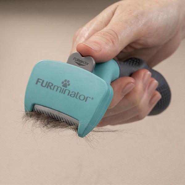 Furminator Kısa Tüylü Kediler İçin Tarak Small