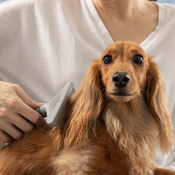 Furminator Rake Kedi ve Köpek Kıtık Açıcı Tarak 15cm - 8