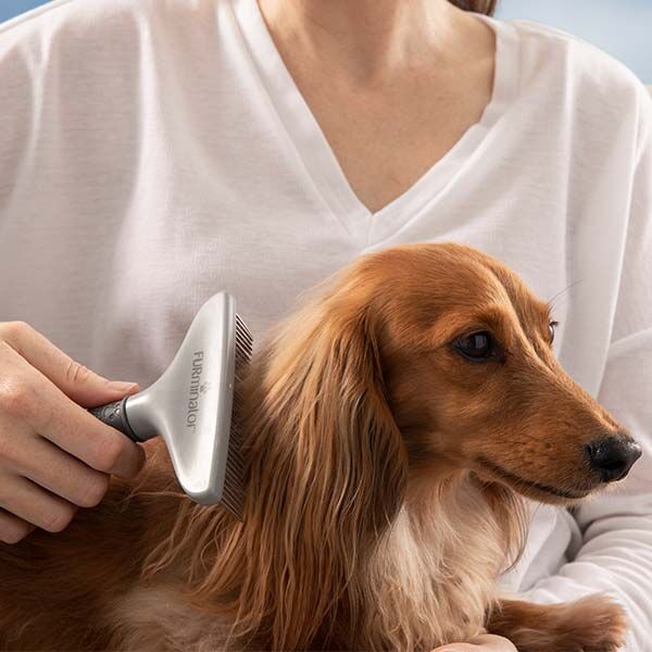 Furminator Rake Kedi ve Köpek Kıtık Açıcı Tarak 15cm - 10