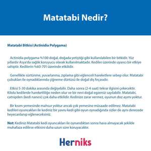 Herniks Matatabili Sesli Çıngıraklı Kedi Oyuncağı MR. Matatabi - Thumbnail