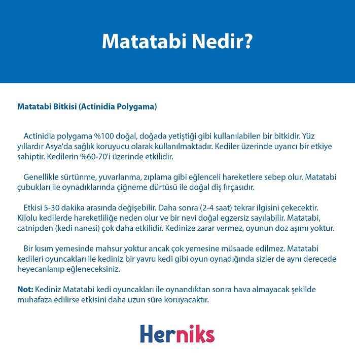 Herniks Yenilebilir Matatabi Çubuğu Jumbo 2'li