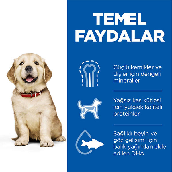 Hill's SCIENCE PLAN Tavuklu Büyük Irk Yavru Köpek Maması 14,5kg