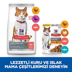 Hill's SCIENCE PLAN Somonlu Kısırlaştırılmış Yetişkin Kedi Maması 13kg + 2kg HEDİYE! - Thumbnail