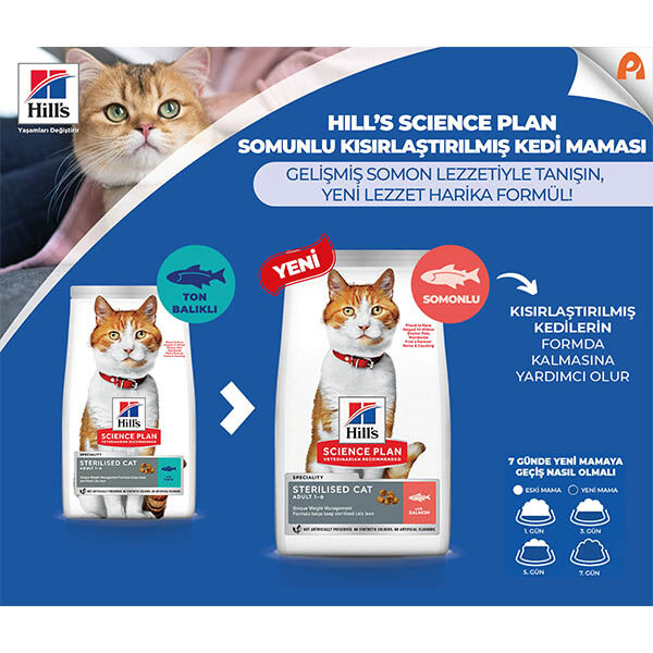 Hill's SCIENCE PLAN Somonlu Kısırlaştırılmış Yetişkin Kedi Maması 13kg + 2kg HEDİYE!