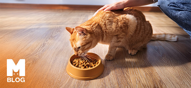 Hipoalerjenik Kedi Maması Özellikleri