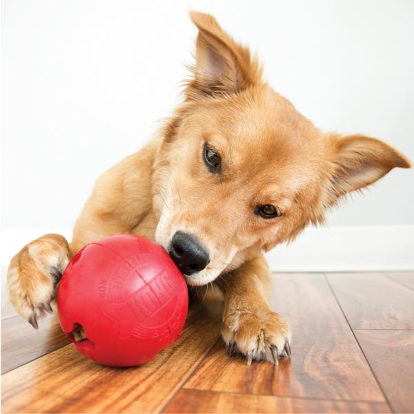 KONG Biscuit Ball Top Şeklinde Köpek Oyuncağı L