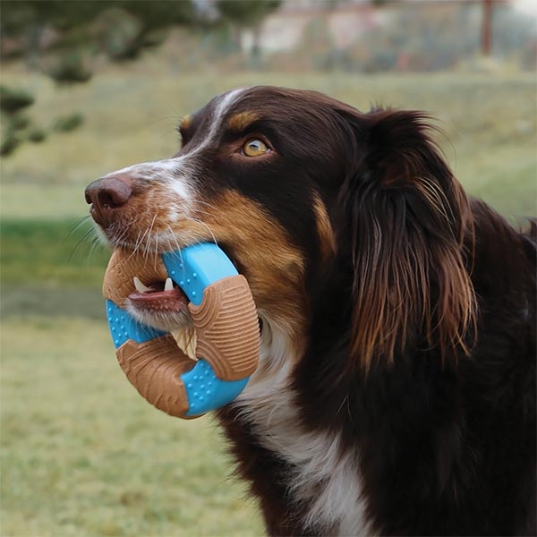 KONG CoreStrength Halka Şeklinde Köpek Oyuncağı S