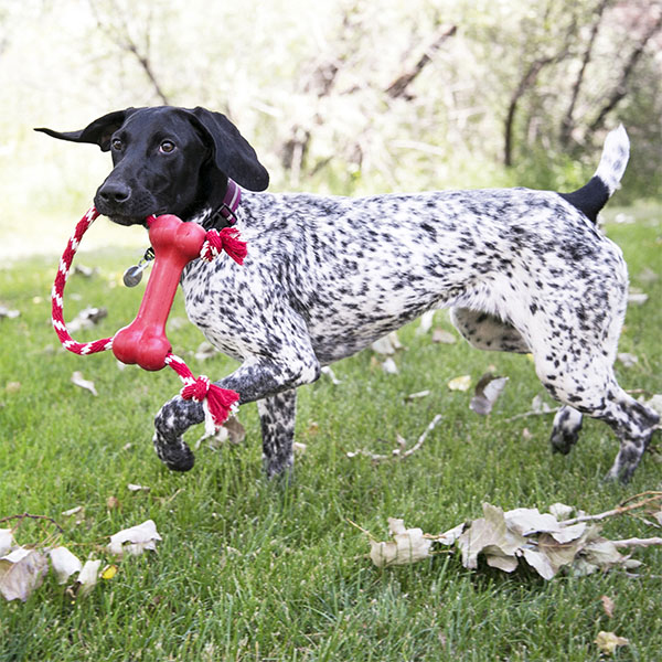 KONG Goodie Bone Kemik Şeklinde Çok Amaçlı İp Sallantılı Köpek Oyuncağı M