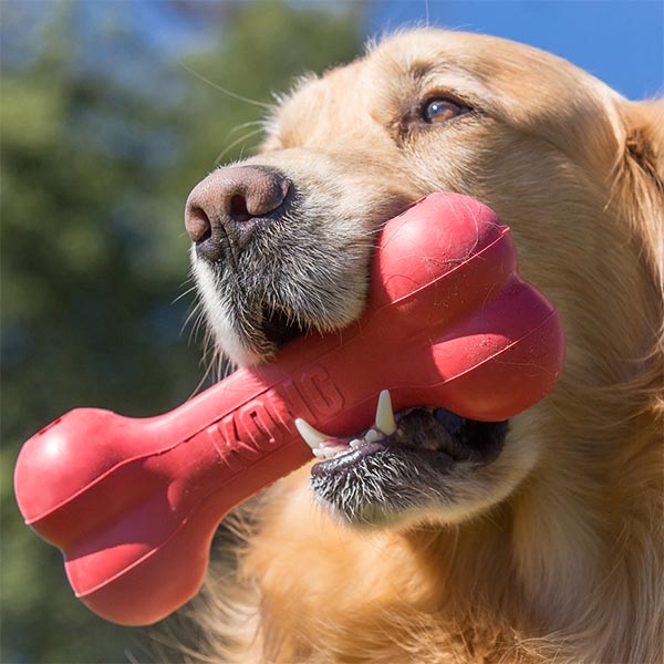 KONG Goodie Bone Kemik Şeklinde Çok Amaçlı Köpek Oyuncağı M