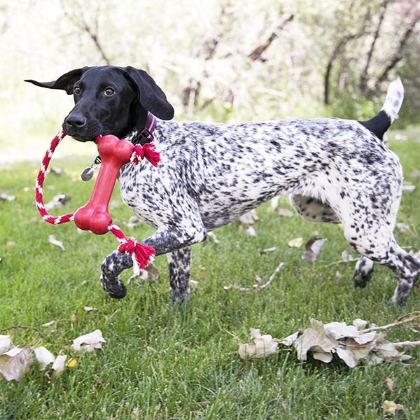 KONG Goodie Bone Kemik Şeklinde İp Sallantılı Çok Amaçlı Köpek Oyuncağı XS