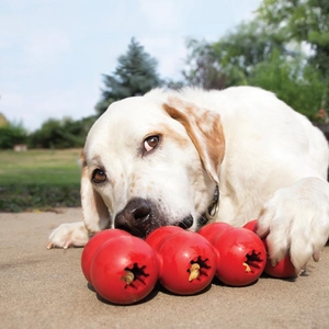 KONG Goodie Ribbon Çoklu Top Şeklinde Köpek Oyuncağı L - Thumbnail