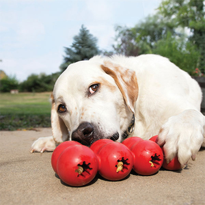 KONG Goodie Ribbon Çoklu Top Şeklinde Köpek Oyuncağı M - Thumbnail