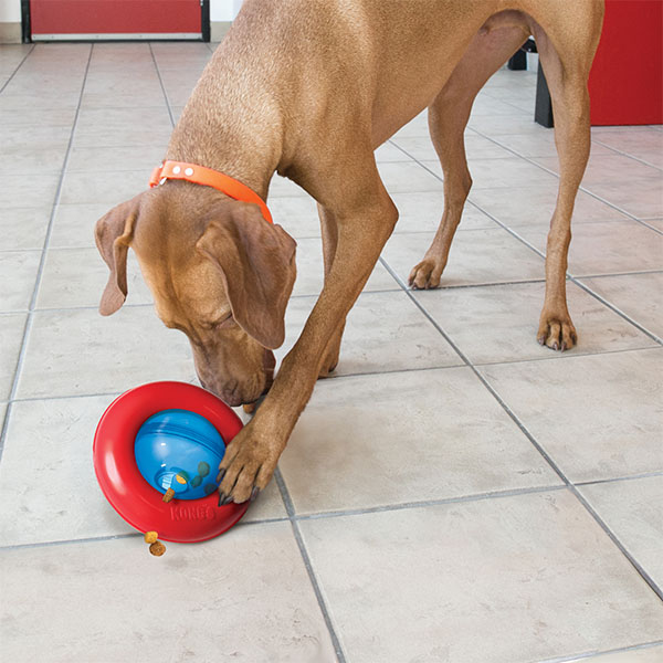 KONG Gyro Köpekler için Ödül Maması Dağıtma Oyuncağı S